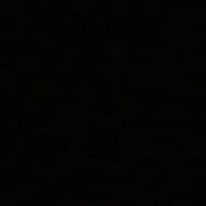 Meet your Posher, Palveer